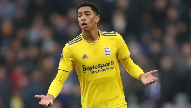 “封神”助力续航绿茵梦想，新鹏城与台铃举行车辆交付仪式