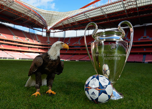 顶级前锋的终结能力